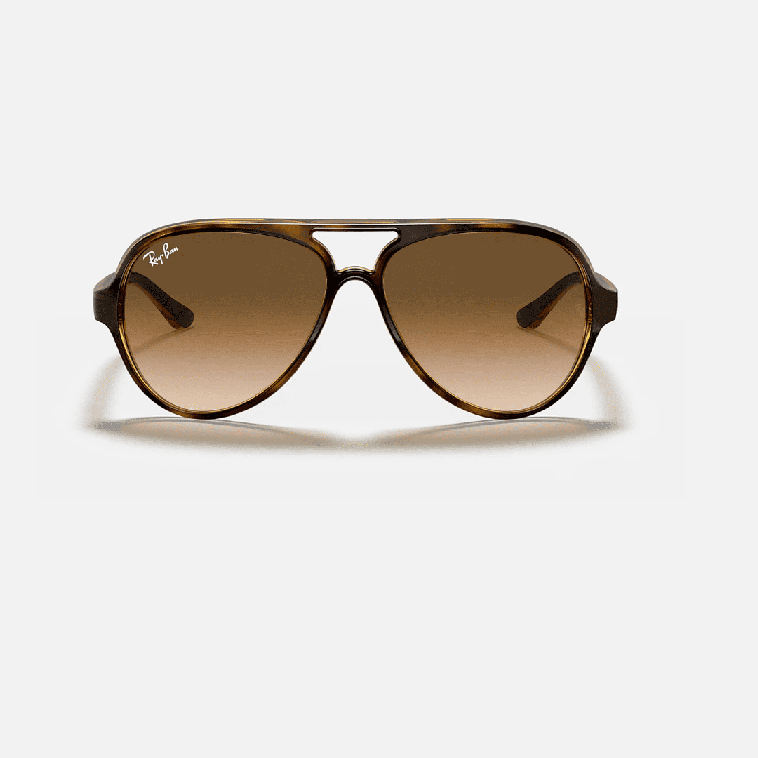 Cats 5000 Havana Marron Degrade RB4125
