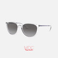 Erika Transparente Gris Degrade RB4171
