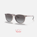 Erika Gris Transparente Gris Degrade RB4171